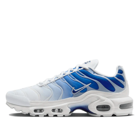 Nike Air Max Plus Blue Fade